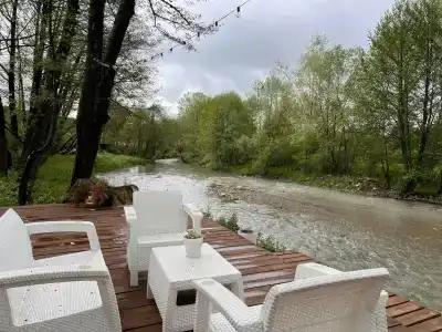 Богатый лес - 6