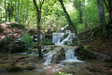 Винодельня Варнаутка - 4