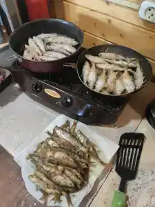 Вазуза - 22