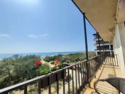 Авдаллини - 50