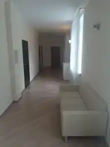 Хвойный парк - 4