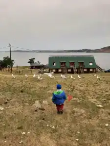 Лазурная - 24