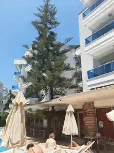 Blue Wave Suite - 55