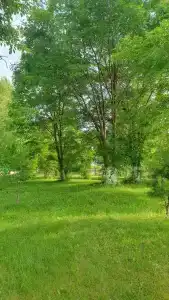 Радужный - 40
