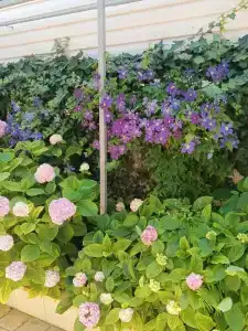 Морское Небо - 49