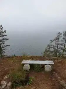 Forest Park - Tiny House - 27