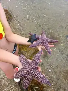 Зелёная полянка - 14