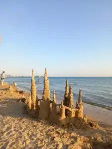 Снегири - 19
