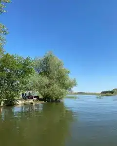 Жемчужина - 24