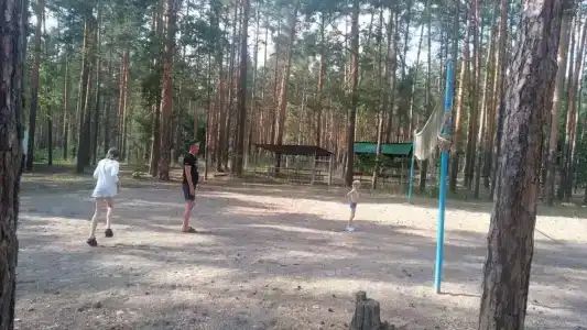 Сура - 39