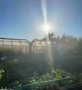 Эко-дом у реки - 6