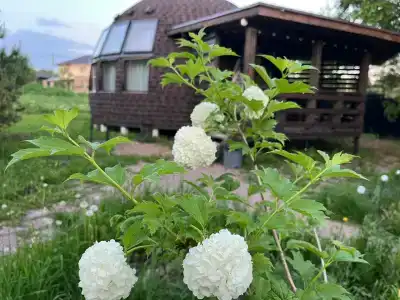 Рай в шалаше - 20