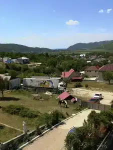 Голден Хорс - 8