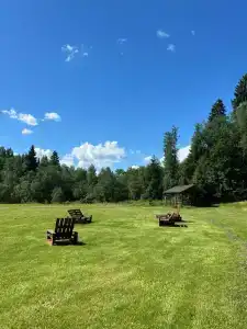Российские альпаки - 30