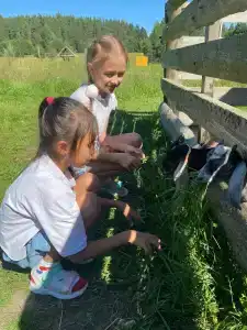 Карельские Лага - 67