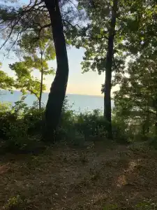 St. Agria - 0