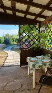 Мишкина Дача - 28