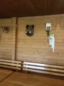 Медвежий угол - 15