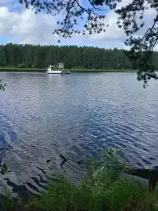 Серебряное копытце - 1