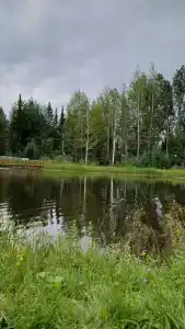 Ошмес - 33