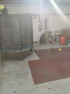 Дельфиния - 64