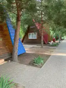 Дон - 2