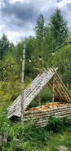 О`Лень - 45