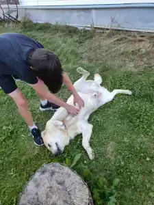 На Вазузу - 84