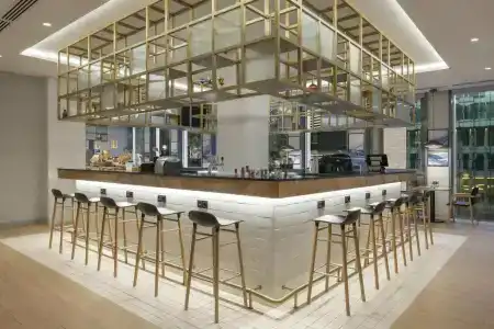 Hilton Garden Inn Tbilisi Riverview - 40