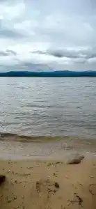 Сосенка - 45