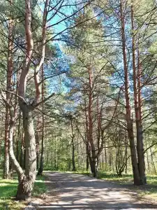 Усадьба Долгорукий - 39