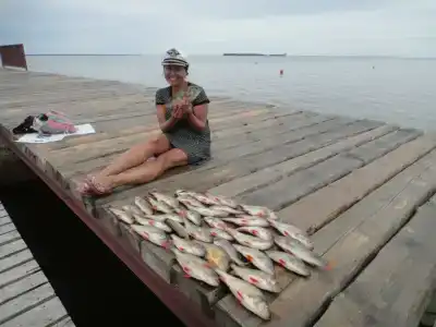 Big Fish - 16
