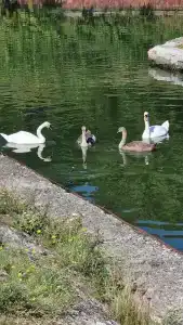 Вилла Татьяна Верхнеозерная - 7