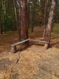 Ясная Поляна - 46