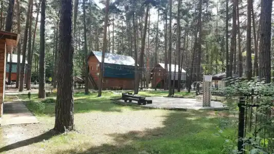 Сосновый бор - 0