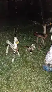 Владимирский Хуторок - 99