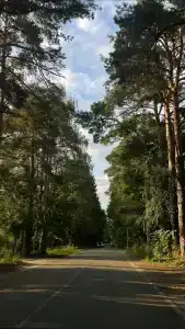 8 подушек - 40