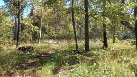 Улыбышево - 94