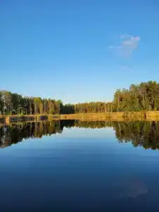 Подворье - 63