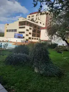 Фламинго - 64