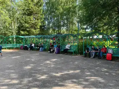 Зелёный остров - 71