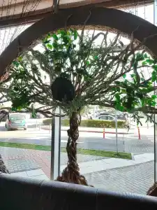 Грин Сити - 49