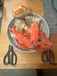 Арктик Хоум - 97