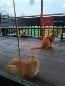 Четыре сезона - 42