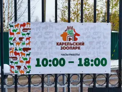 Черные камни - 42