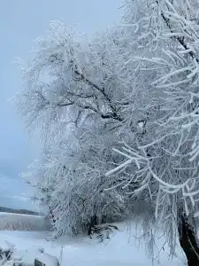 Уникальный творческий дом в Волоховщине - 38