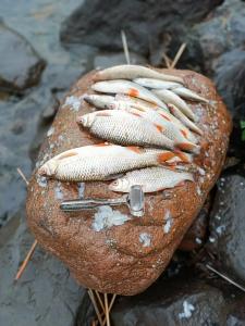 Гостевой дом - 46