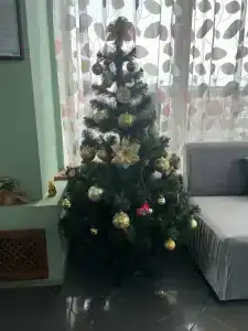 Наутилус - 82