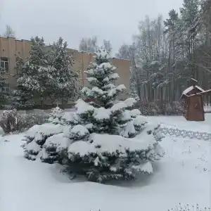 КАМАЗ Саулык - 38