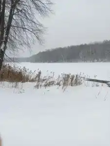 Веселый Роджер - 70